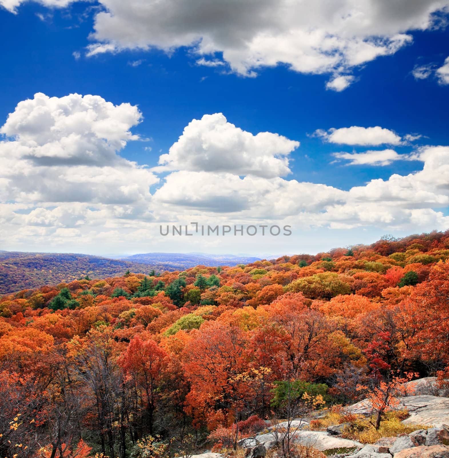 The foliage scenery from the top of Bear Mountain by gary718