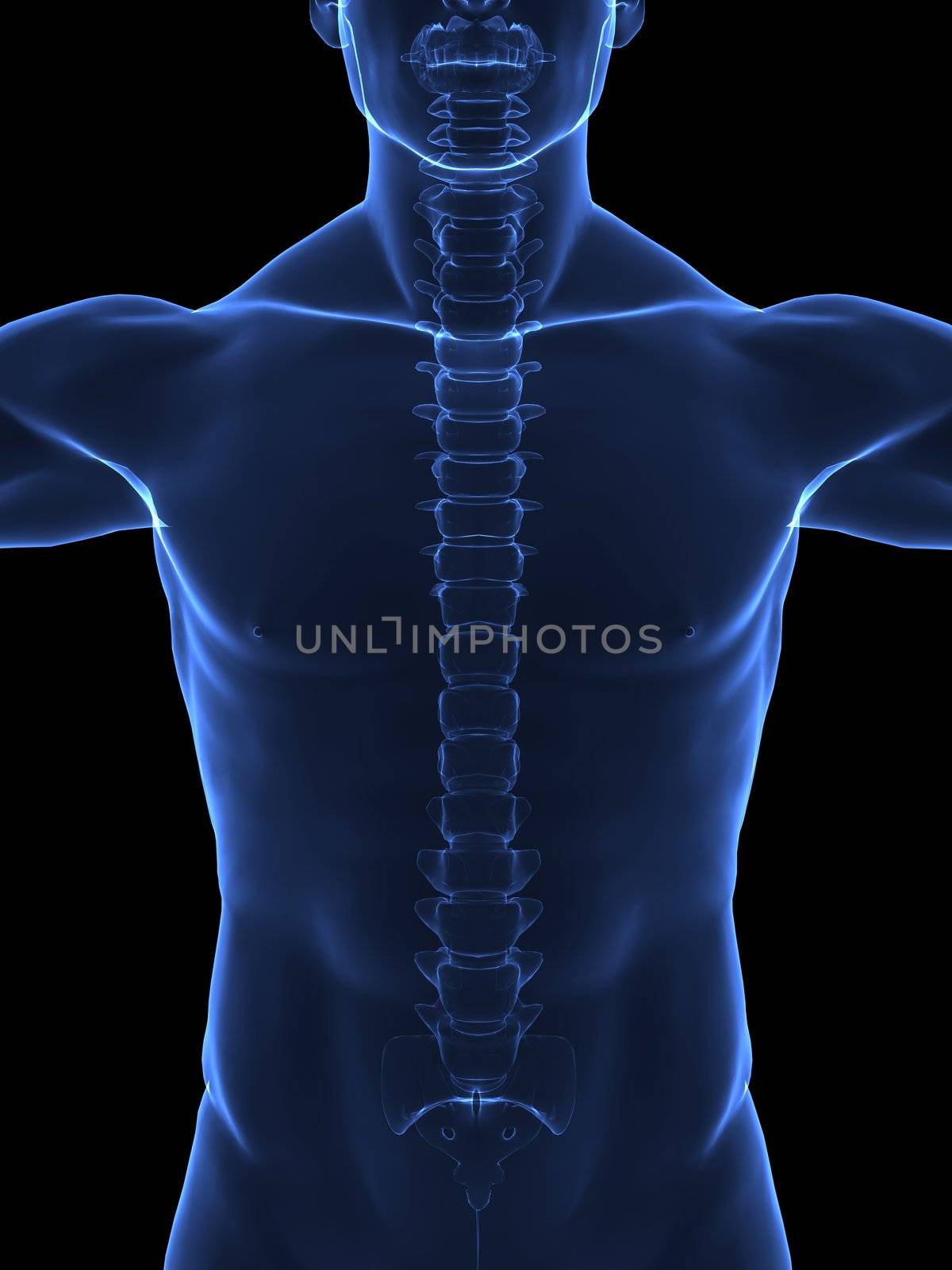 X-ray human body by woodoo