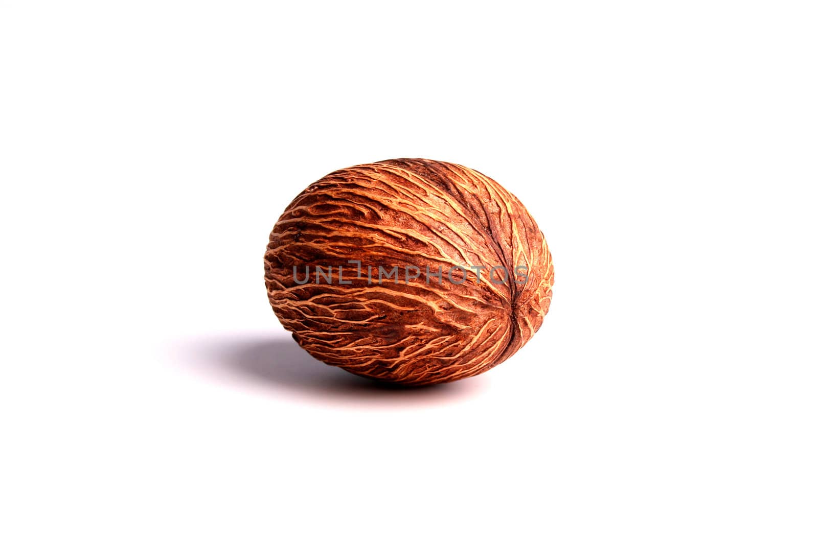 Decorative aromatic nut by VIPDesignUSA
