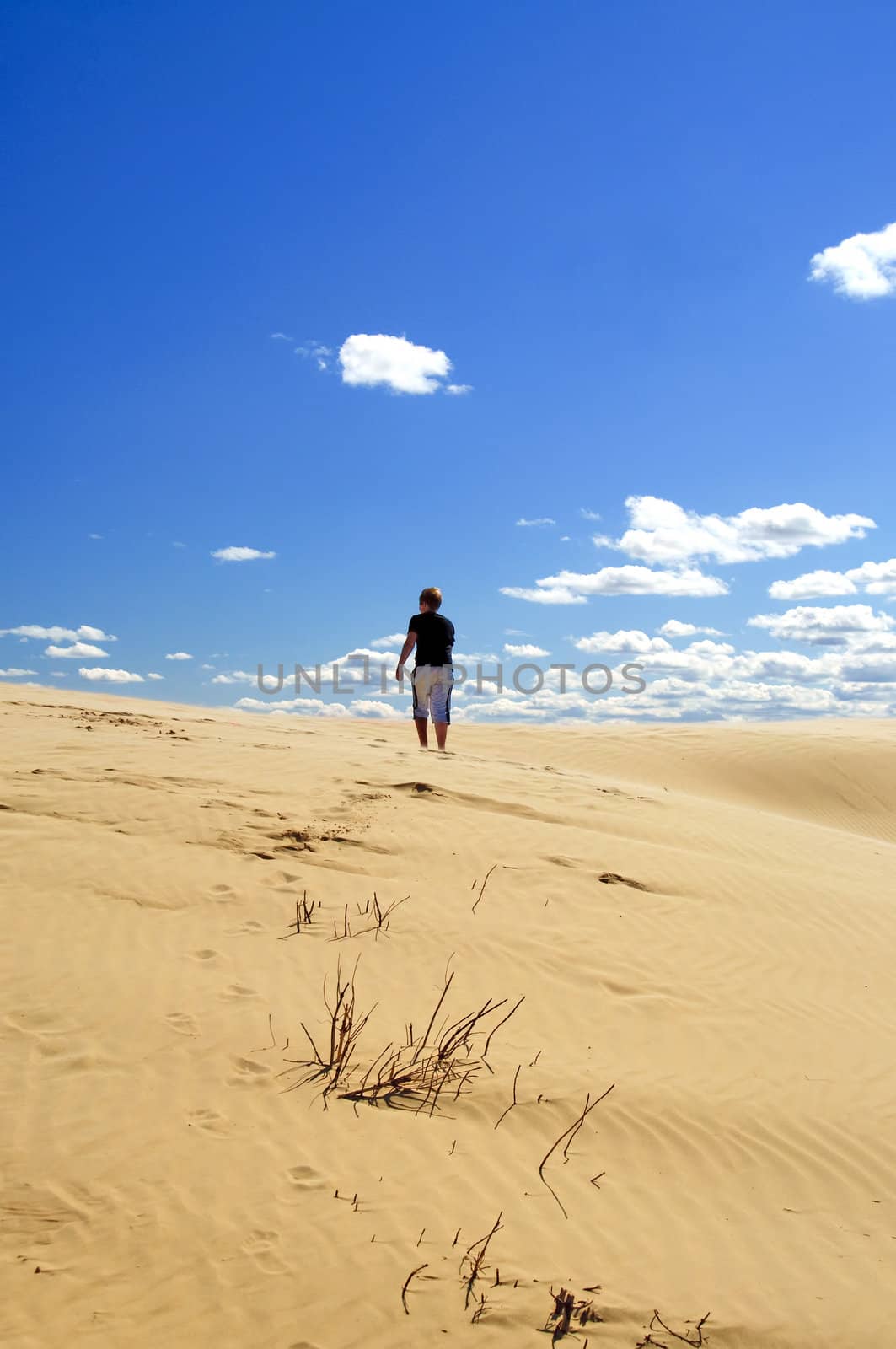 Walking in the sand by GryT