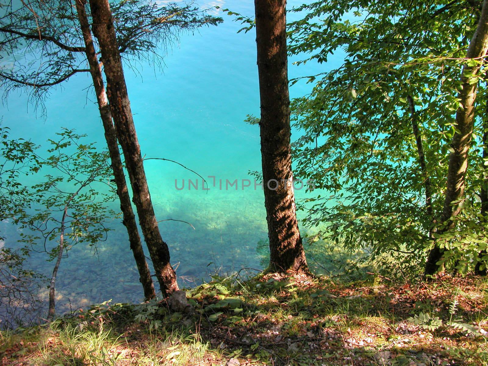 Auronzo Lake, Italy by jovannig