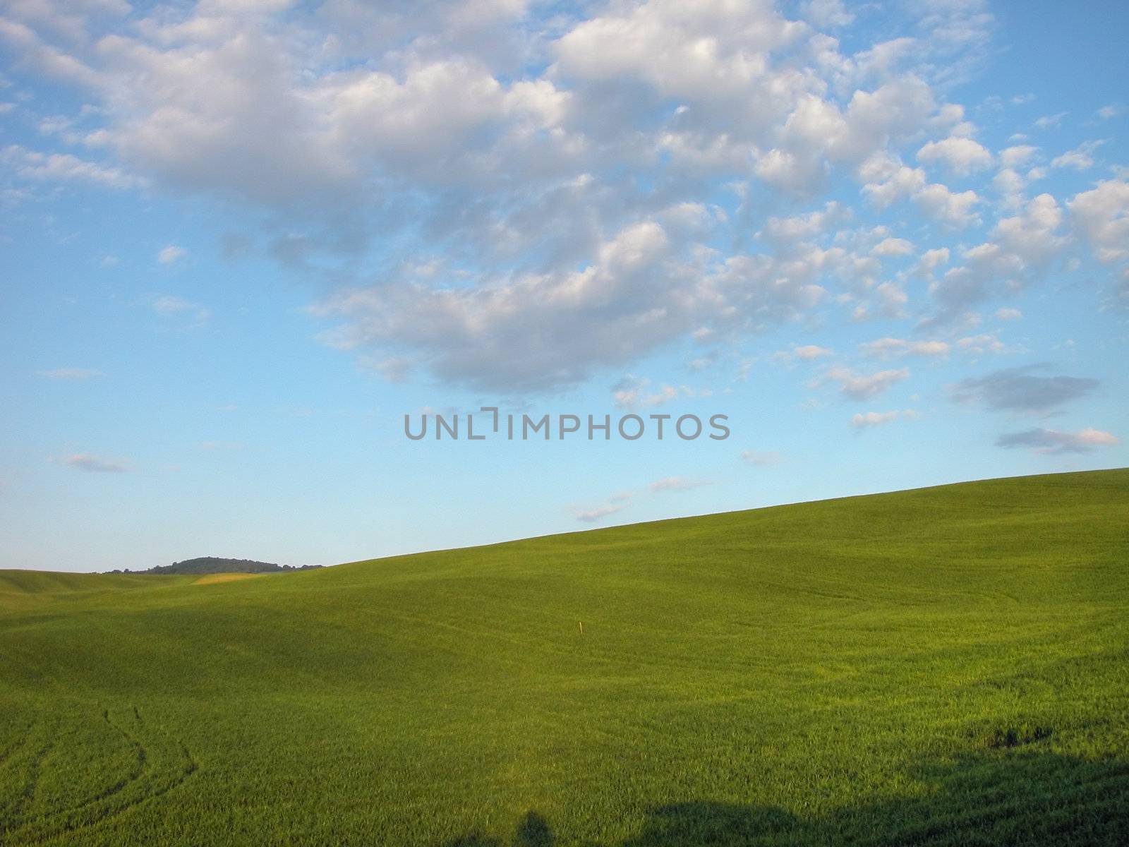 Detail of Tuscan Countryside, Italy