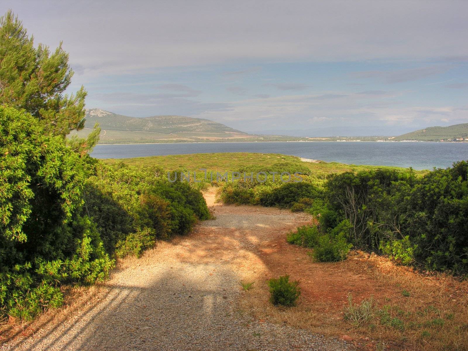 Detail of the coast of Sardinia in Italy