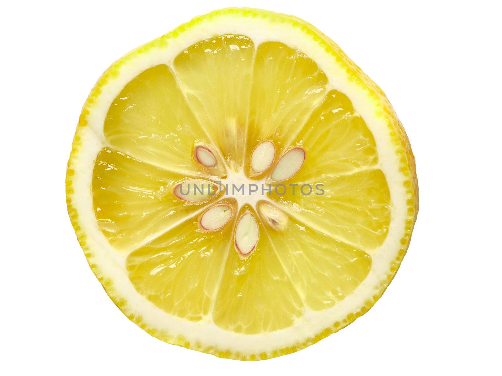 close up of a slice of lemon 