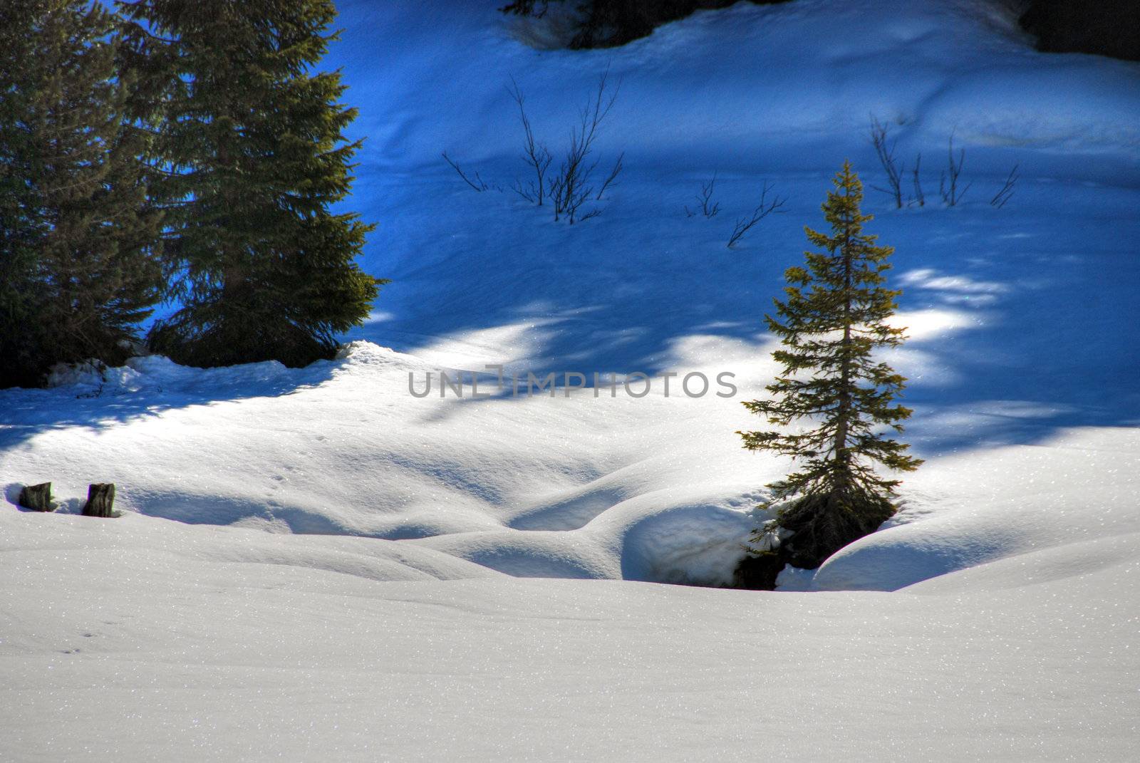 Alps Winter, Dolomites, Italy, 2007 by jovannig
