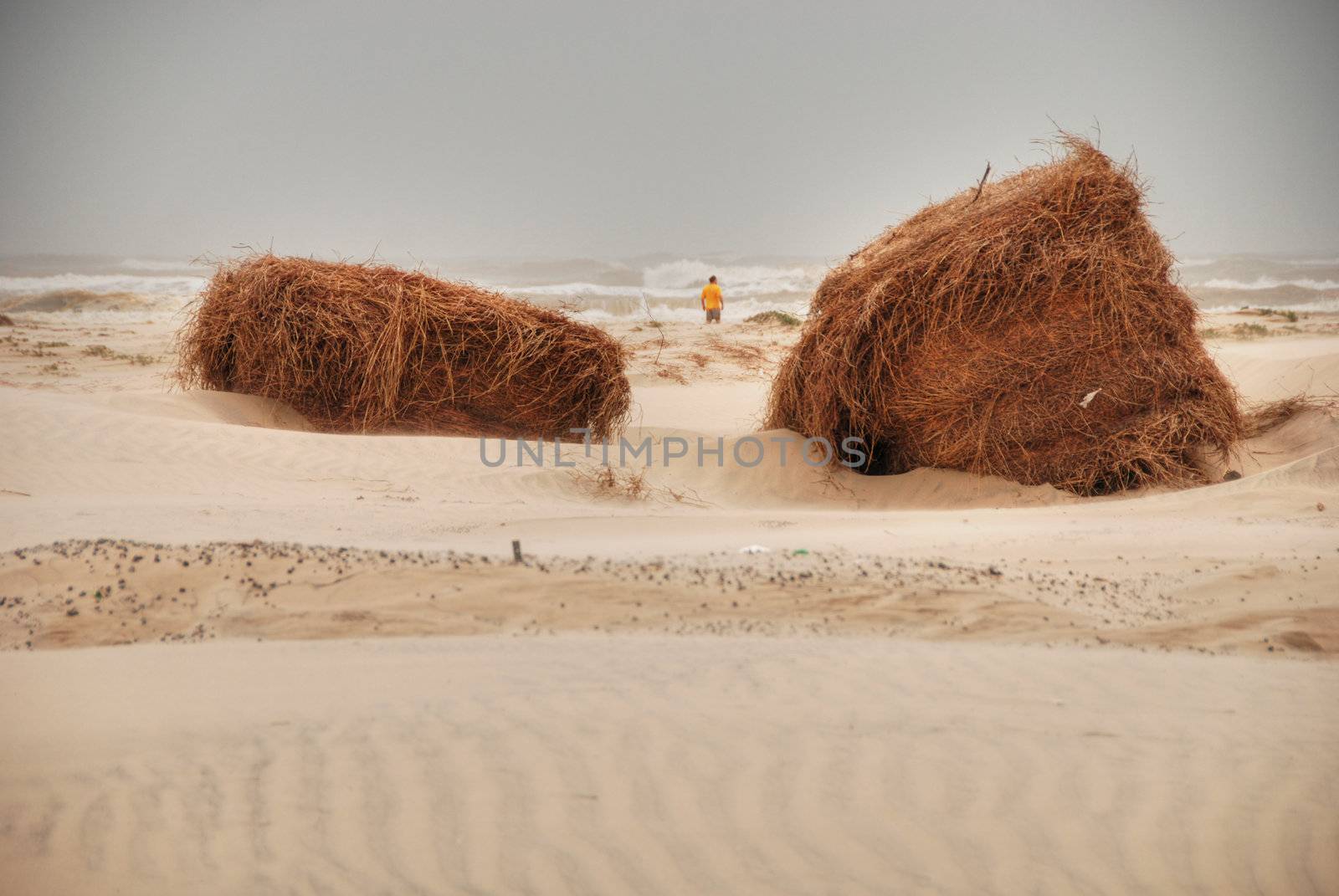 Southa Padre Island Beach, Texas