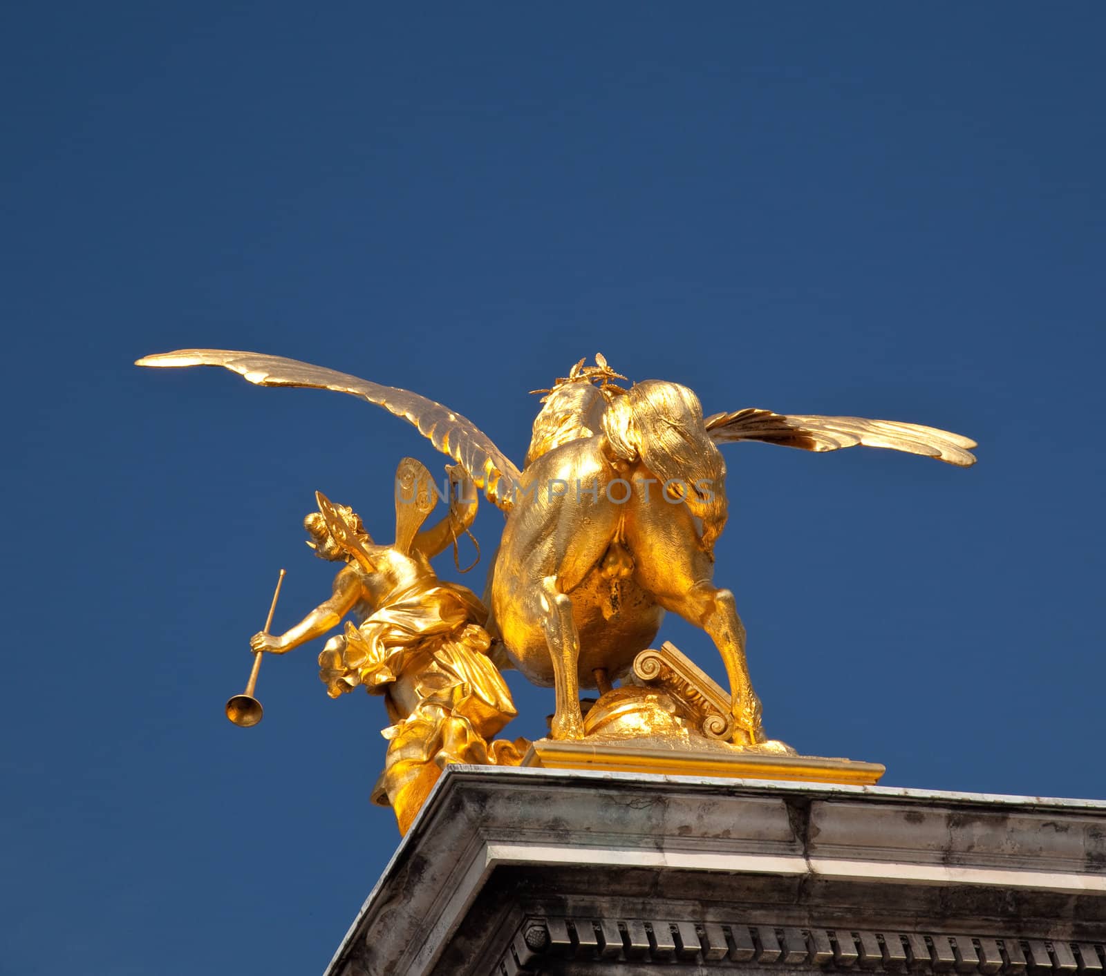 Rear view of a golden horse on Pont Alexandre in Paris - could be used for humorous reference