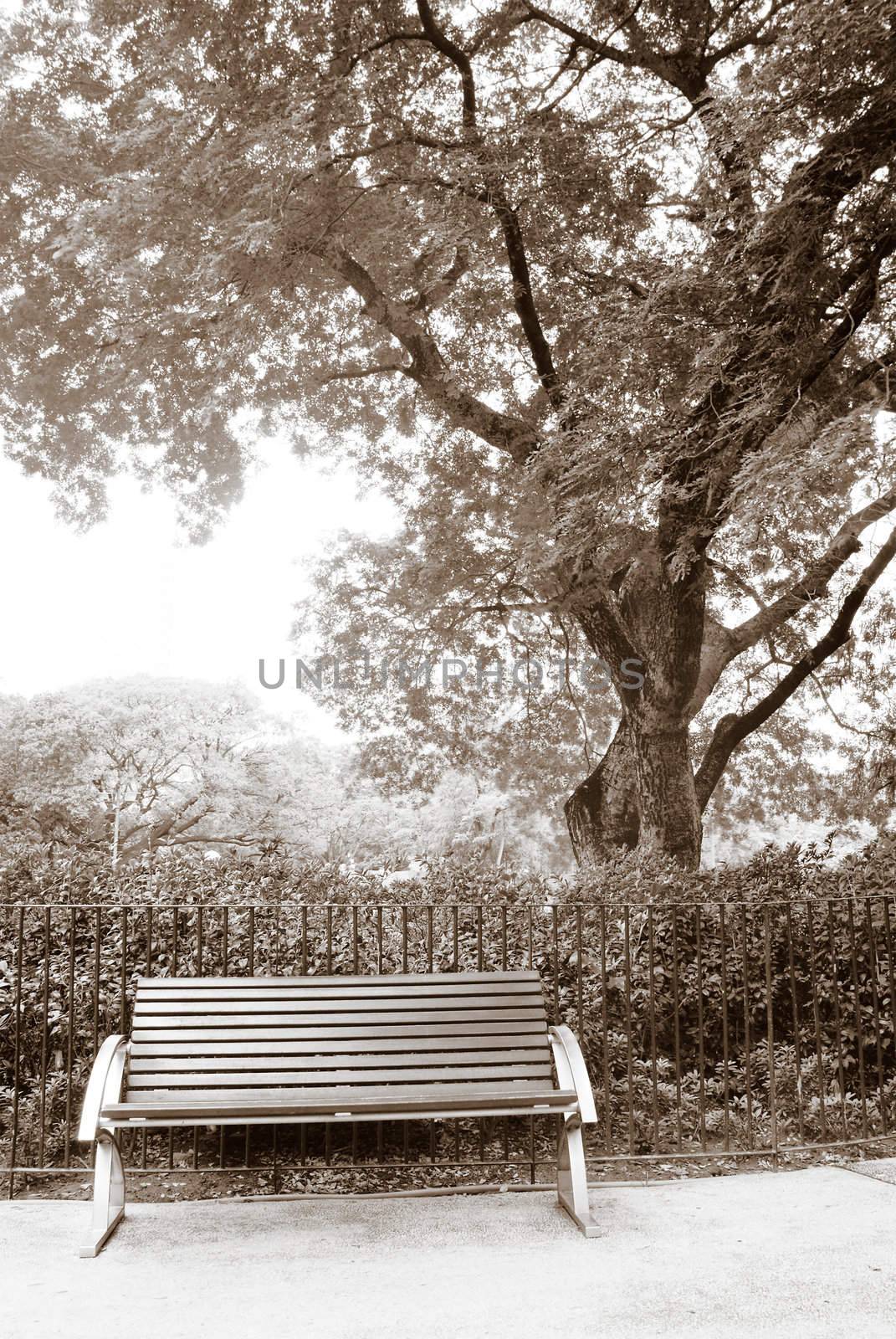It is a brown bench with nobody in the park.