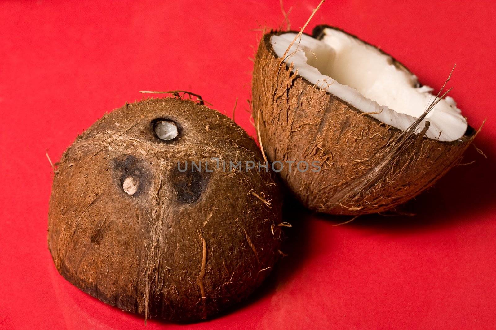 exotic fruit series: broken coconut on the red background