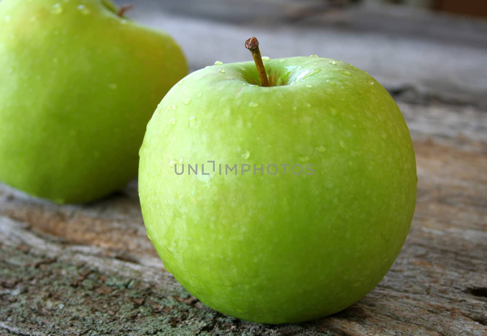 Close up of a wet green apple