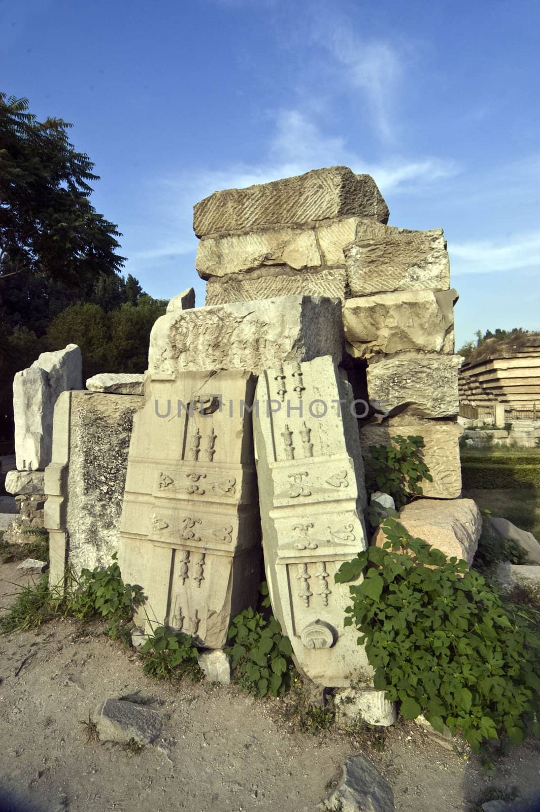 Yuanmingyuan Ruins Park