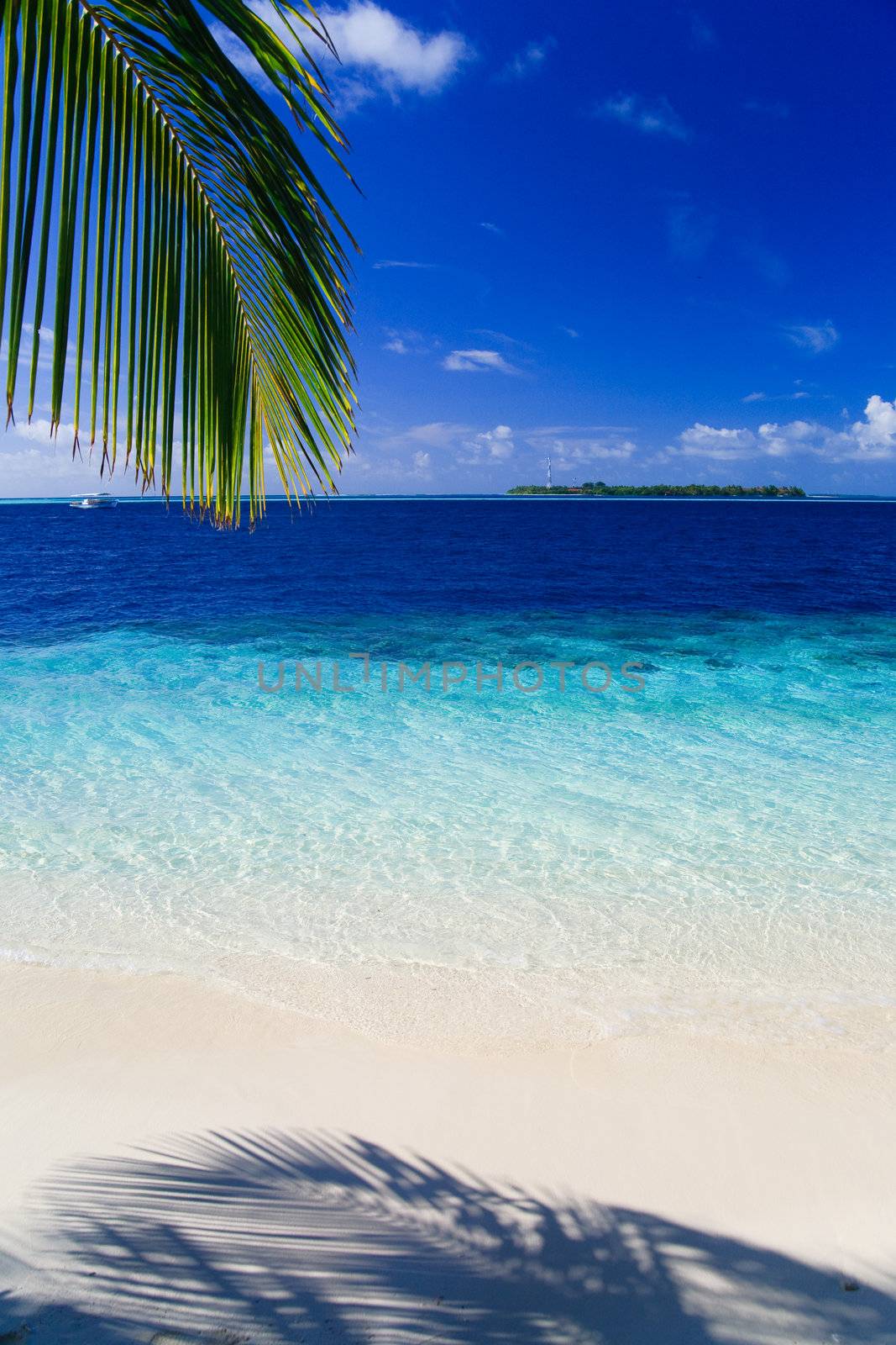 Tropical Paradise at Maldives with palms and blue sky