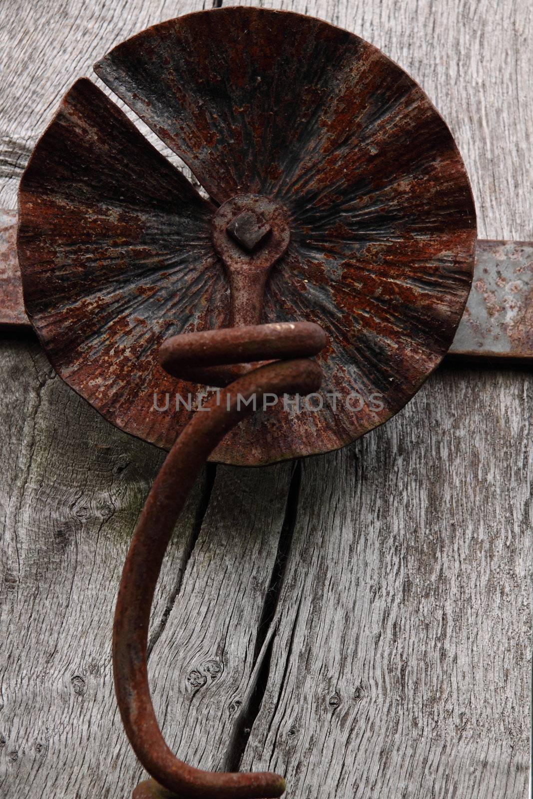 Rusted ornamental metalwork attached to a wooden gateway