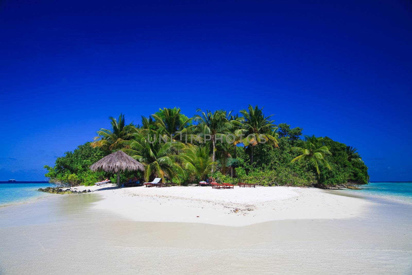 Tropical Paradise at Maldives with palms and blue sky