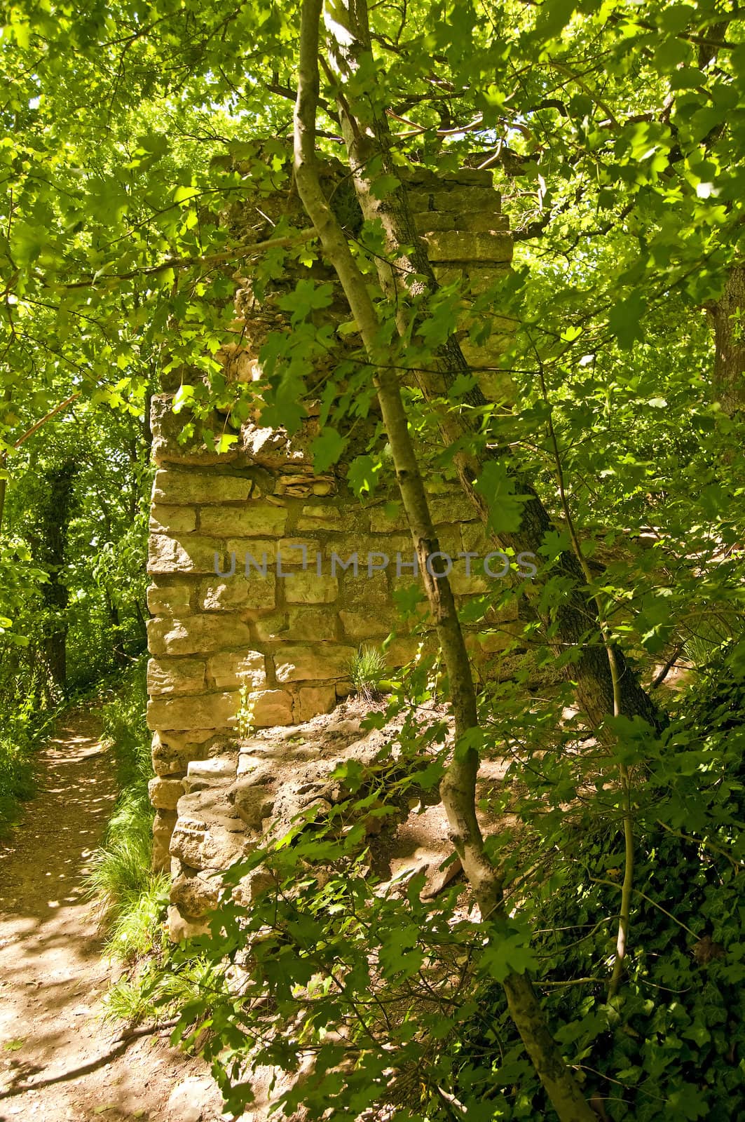 ruins of a castle by Jochen