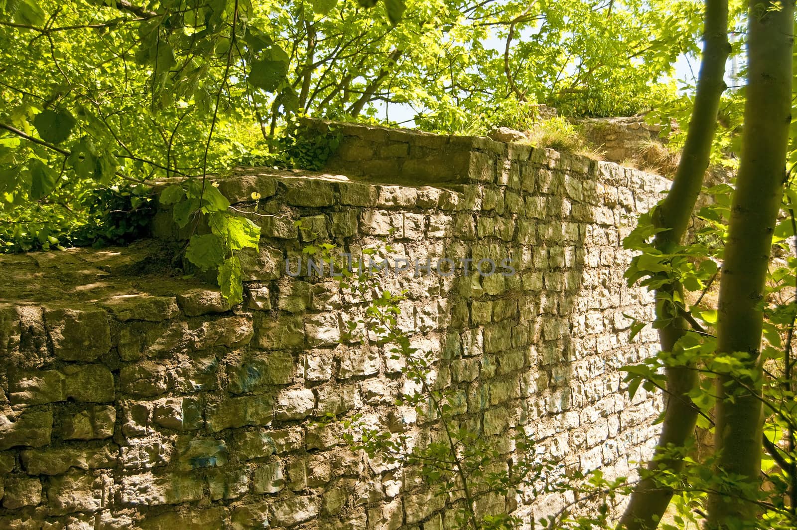 ruins of a castle by Jochen