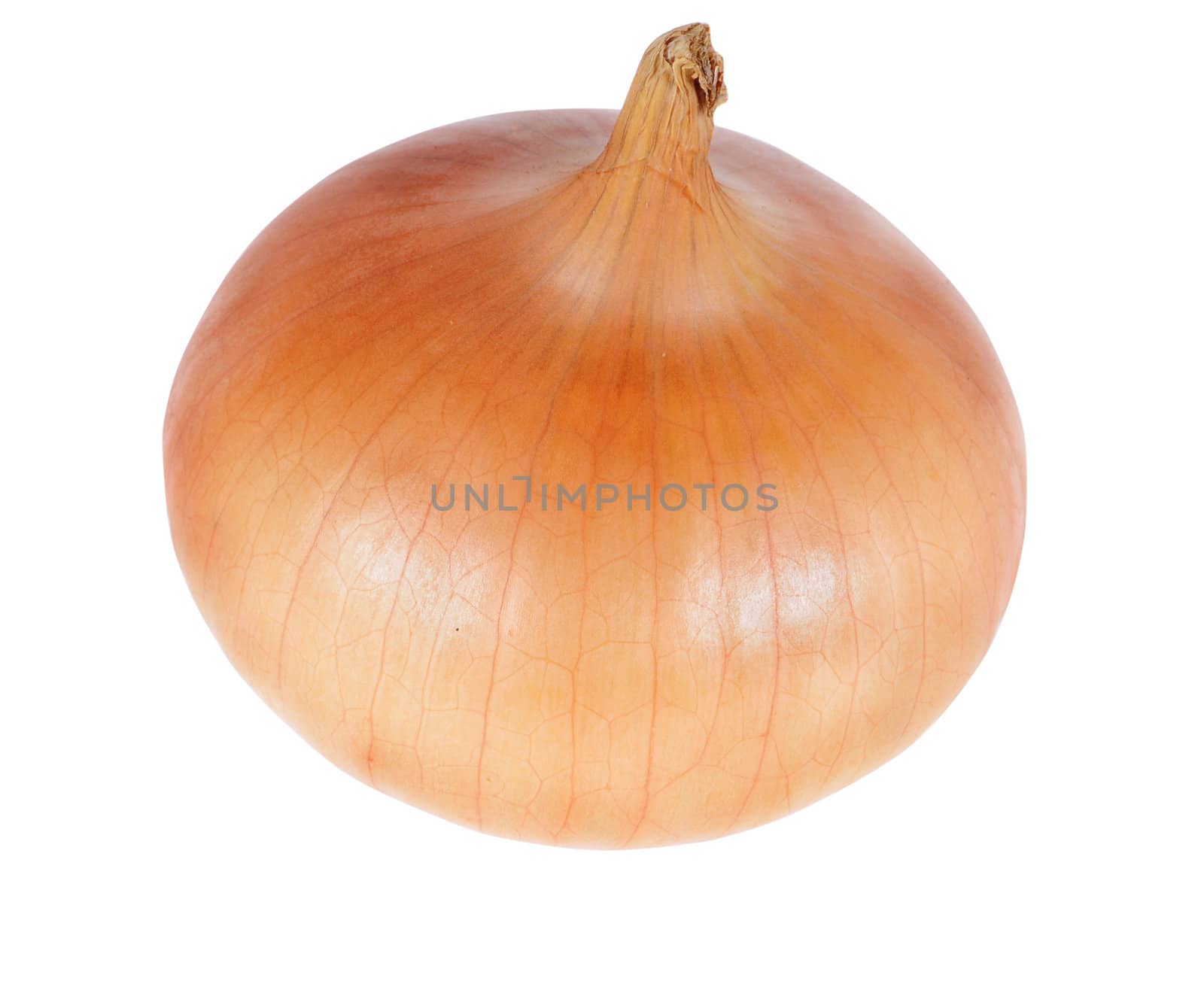 onion by uriy2007