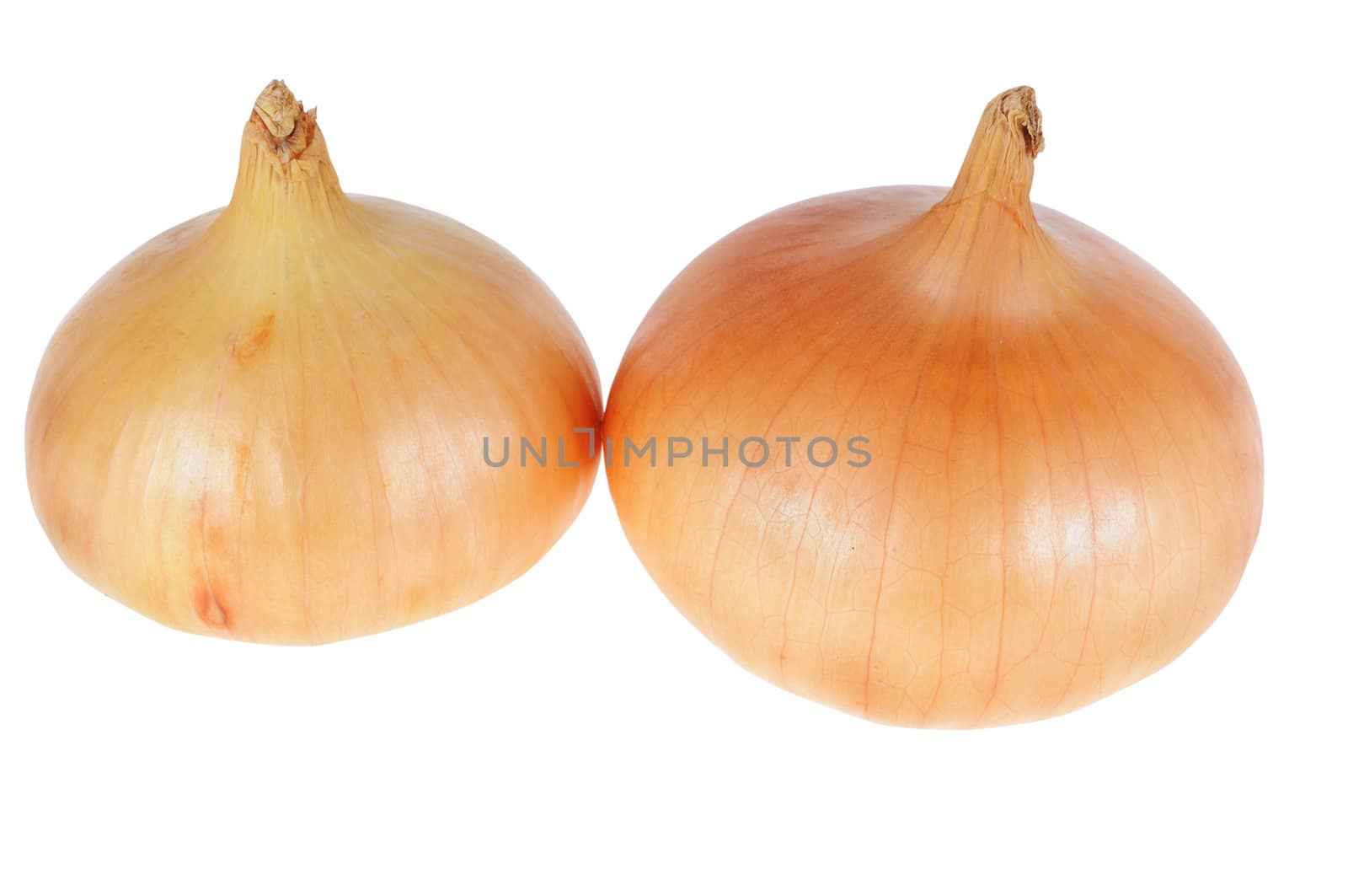 Brown fresh onions isolated on white background