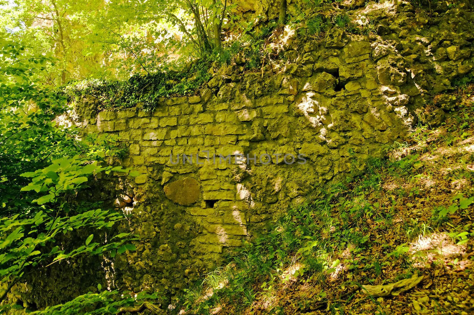 ruins of a castle