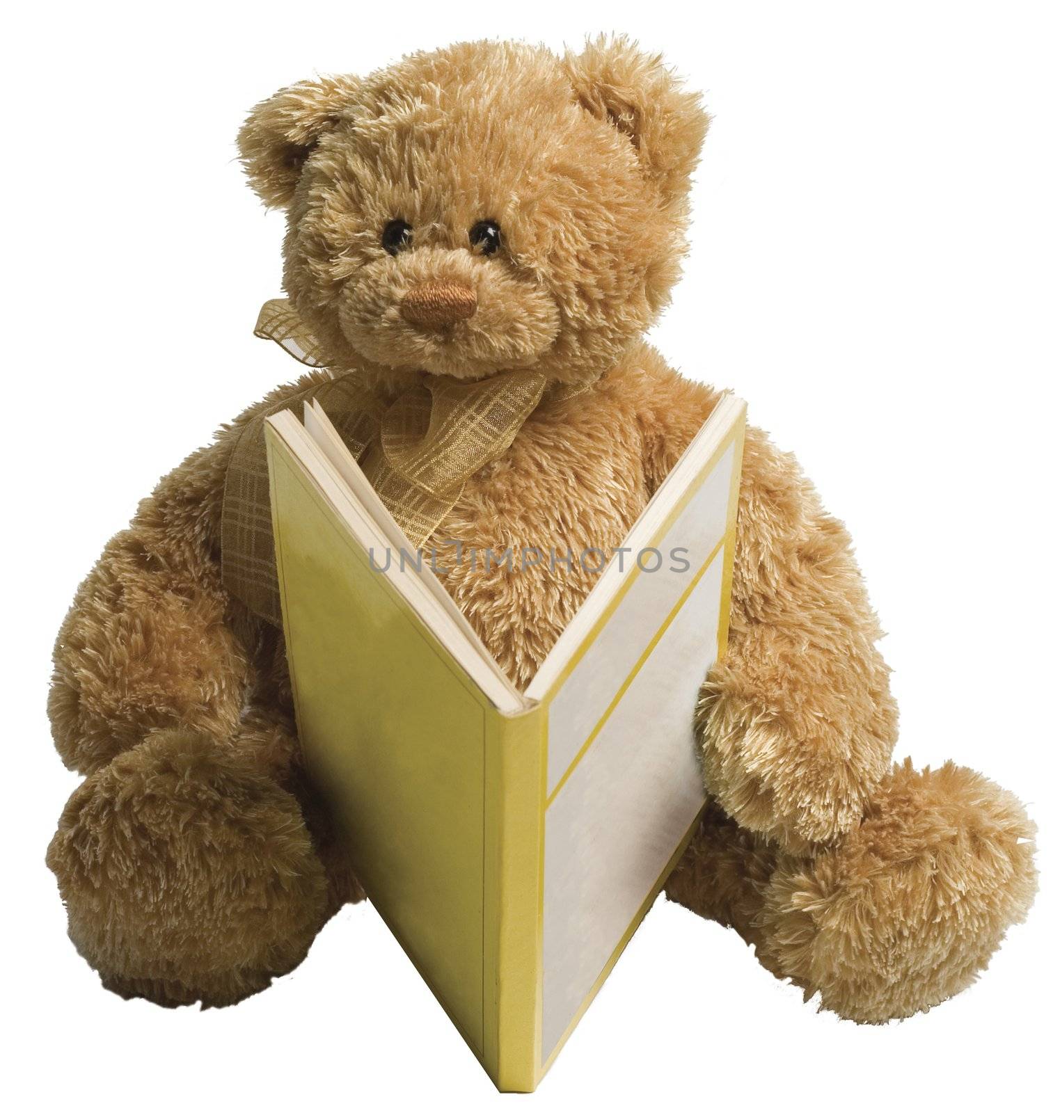 Small teddy bear reading a yellow book