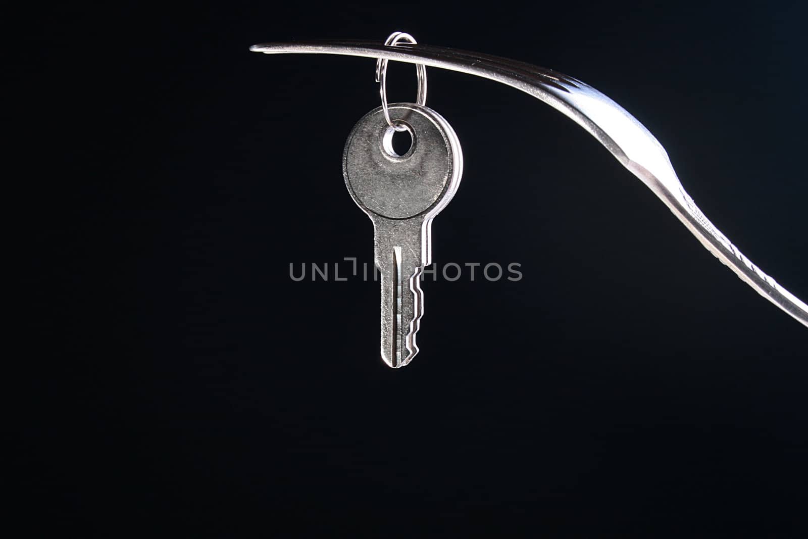 Keys and fork by VIPDesignUSA