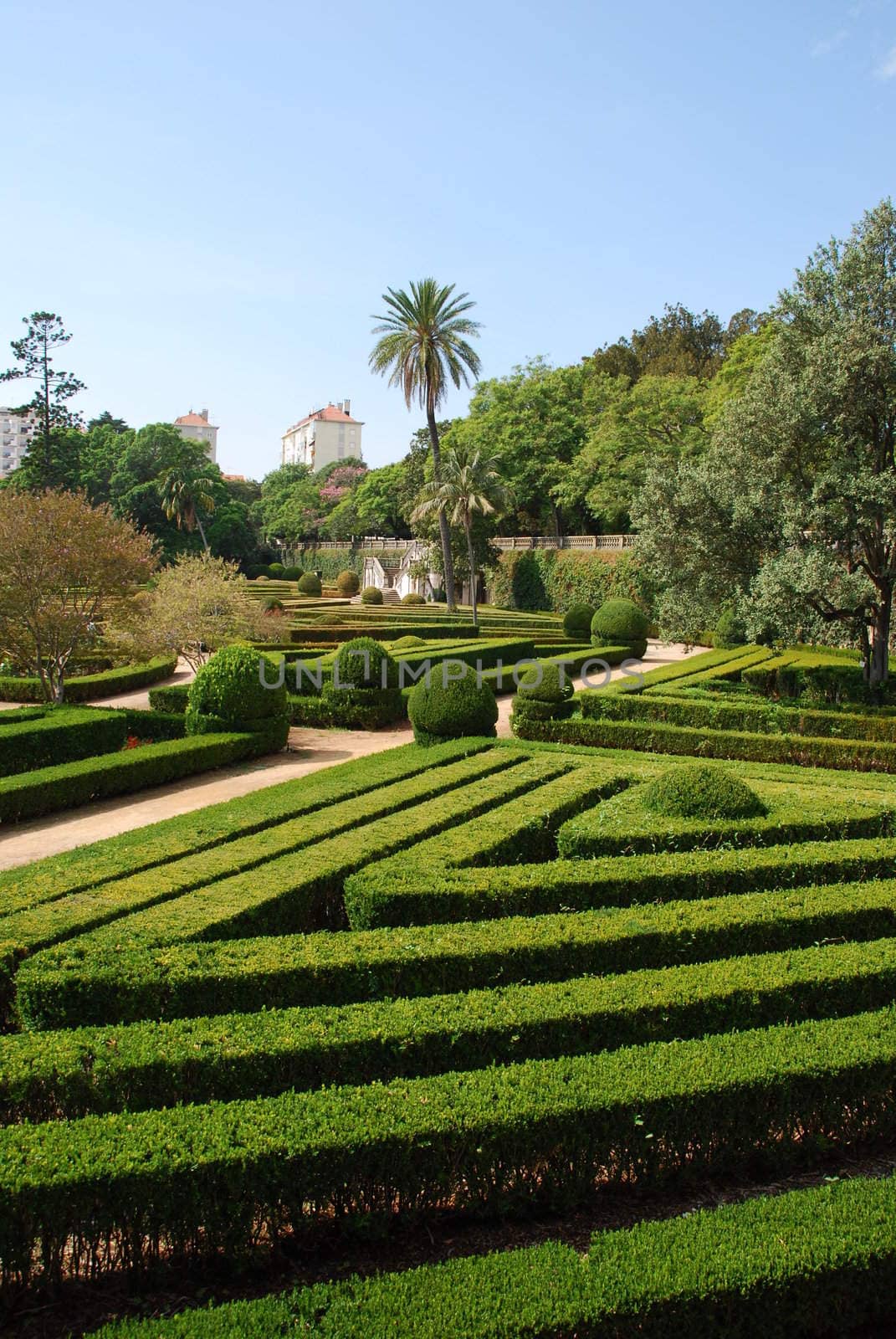 Enchanted Ajuda garden in Lisbon, Portugal by luissantos84