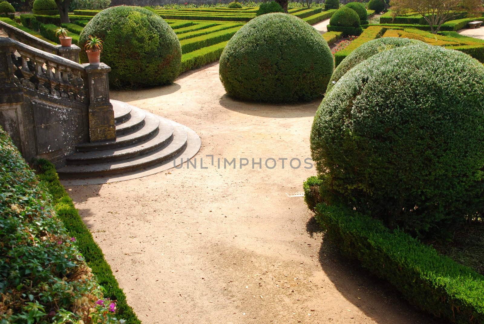 Beautiful ornamental garden with green bushes by luissantos84