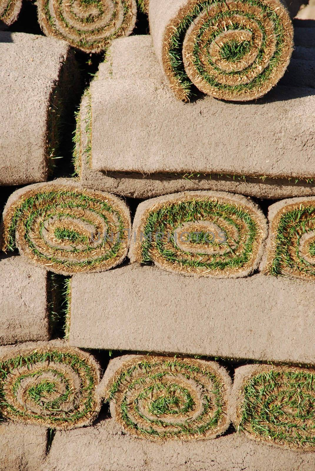 Rolls of sod (background) by luissantos84