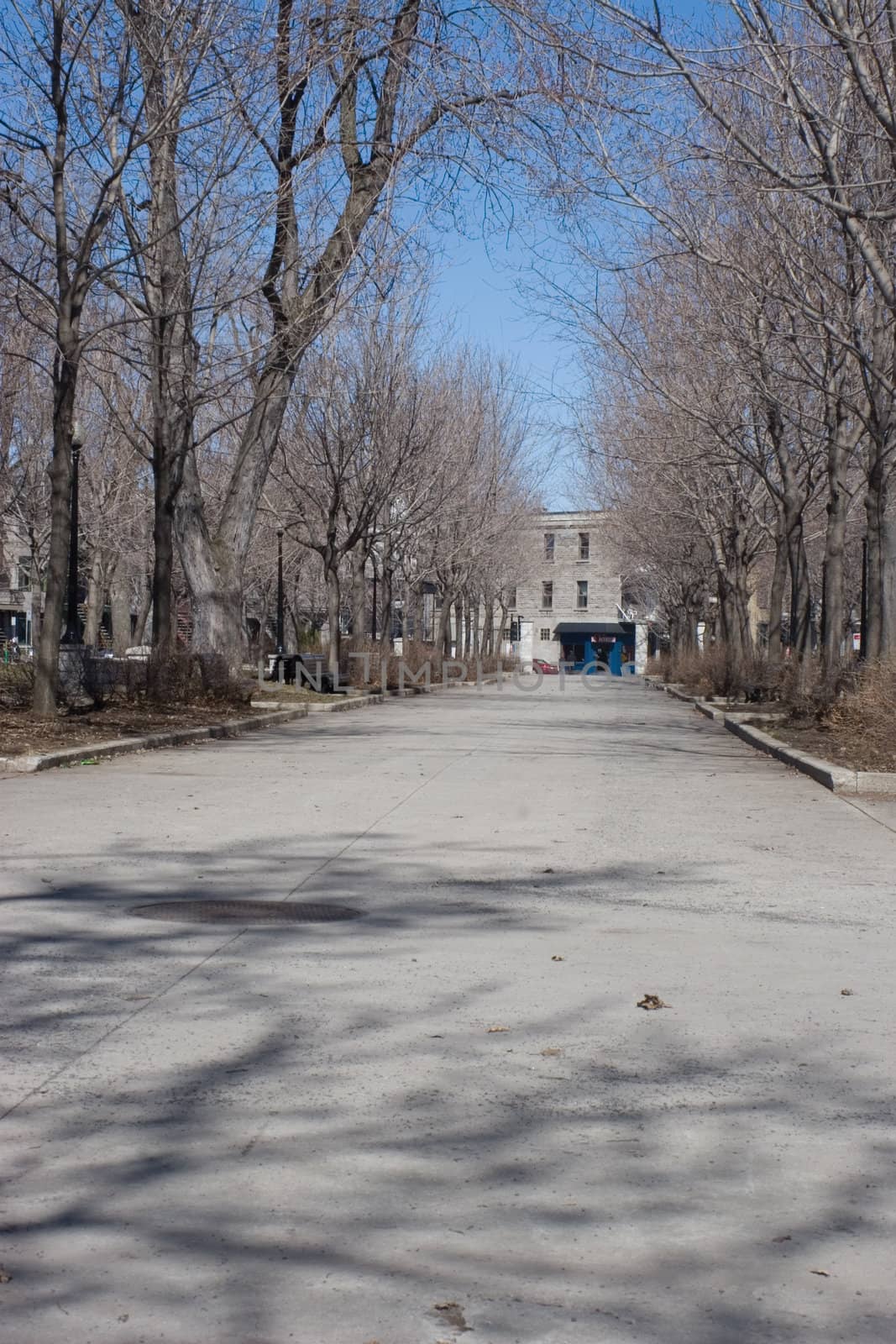 Alley way in a montreal park in early spring before the blooms