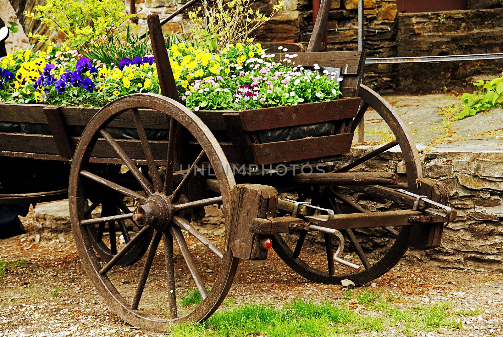 Old cart in retro style used as flowerbed