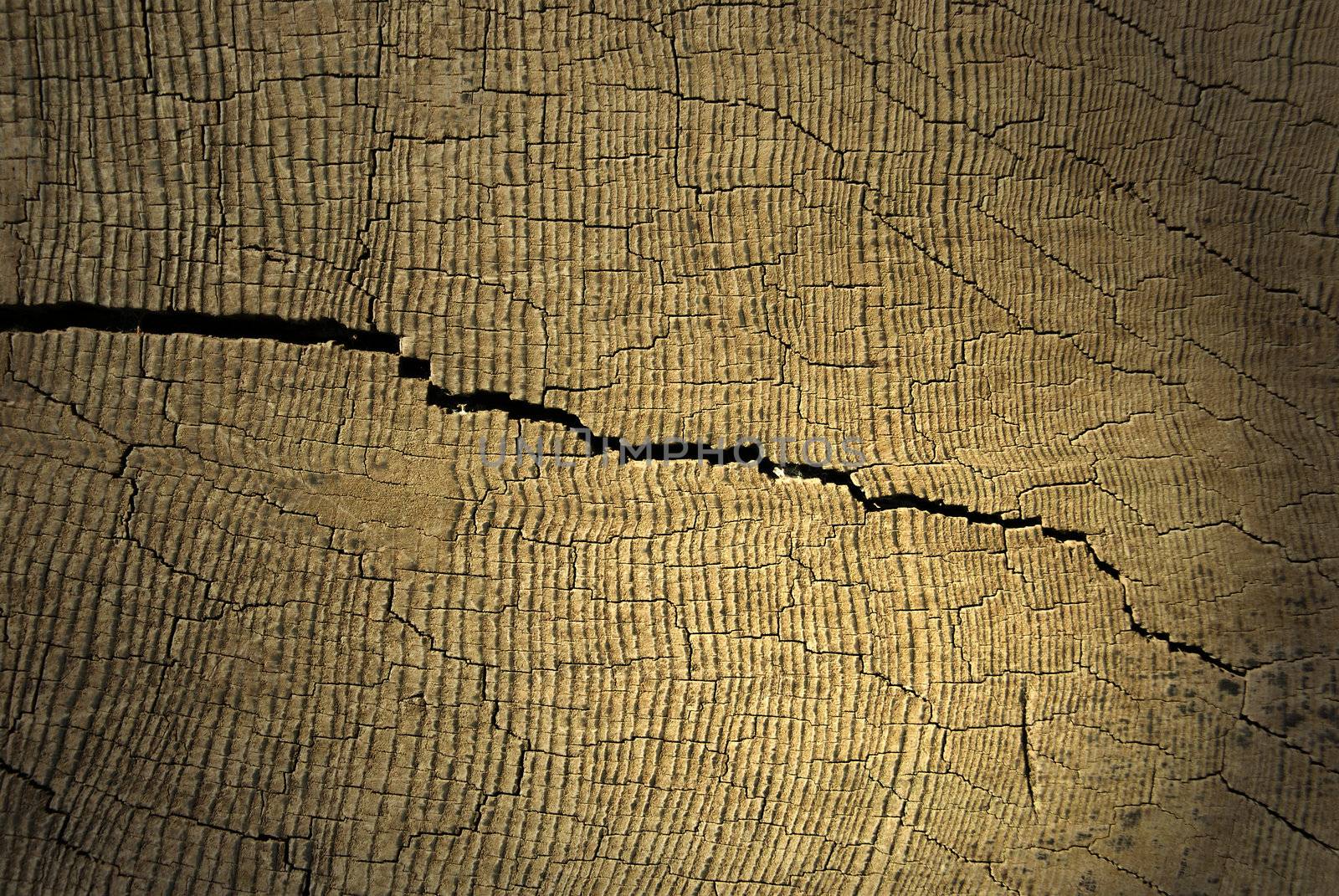 Close up of a crack on piece of wood