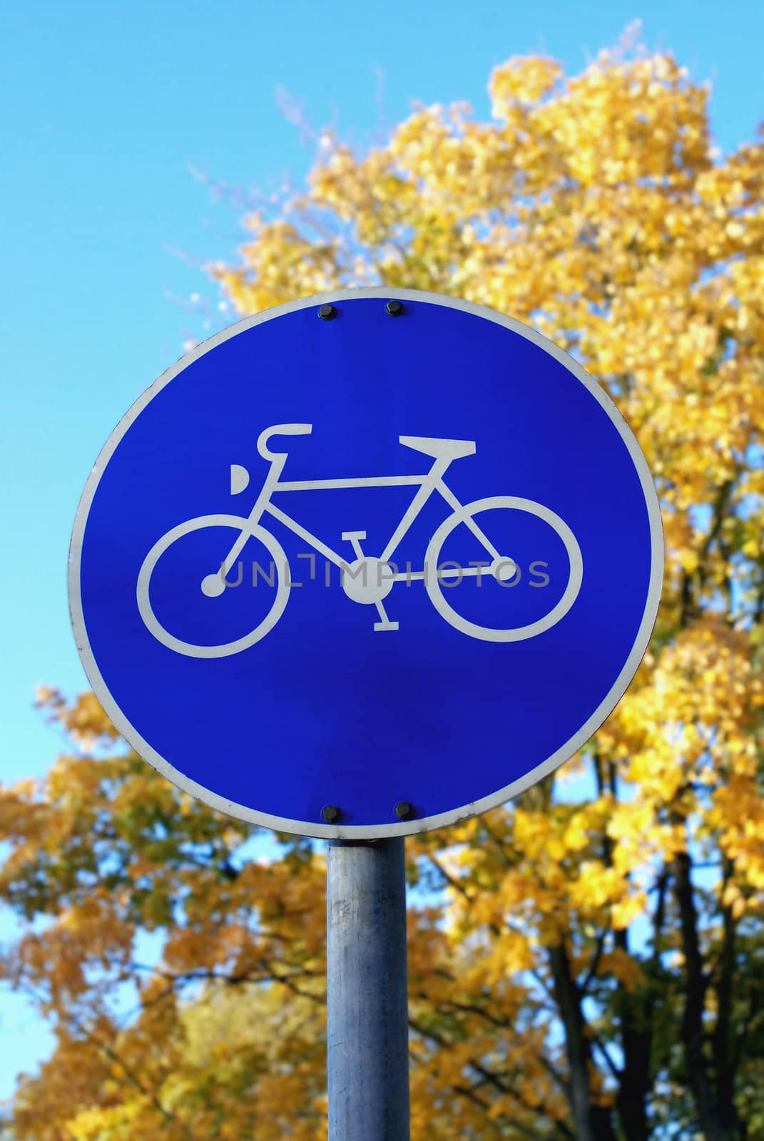 Sign showing bike on background of blue sky and yellow trees in Germany
