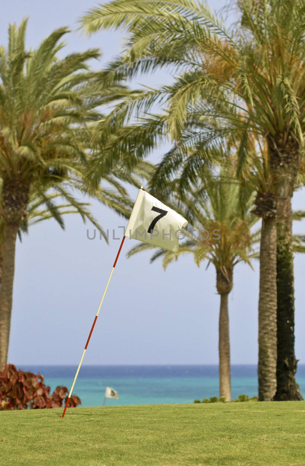 Golf course flag on the background of palms and sea