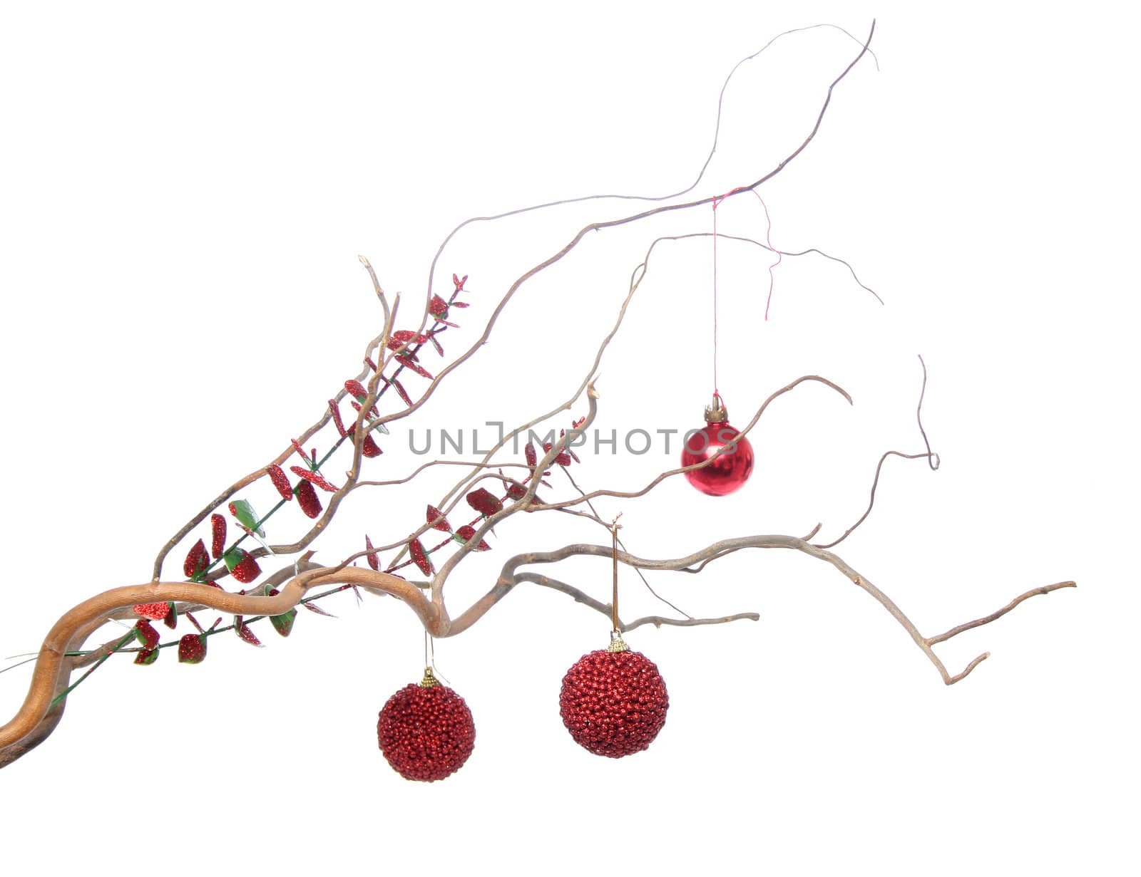 Christmas decorations hanging of beautiful branch