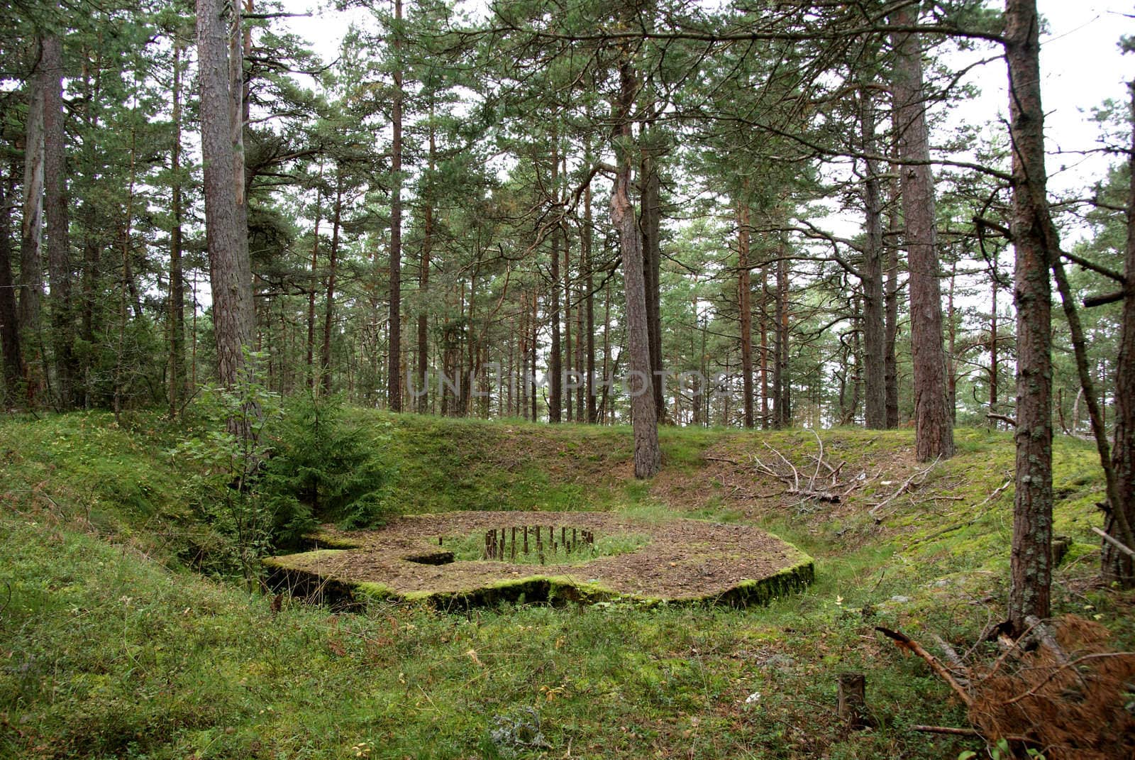 The base of a coastal artillery piece 1900