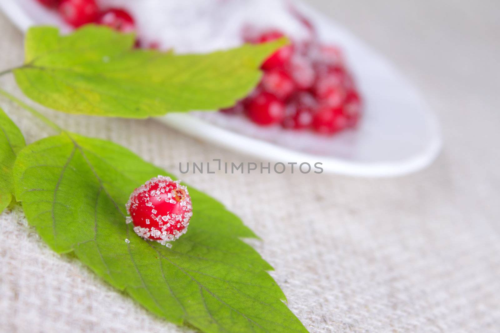 Cowberry sprinkled with sugar on green sheet against a white plate removed close up