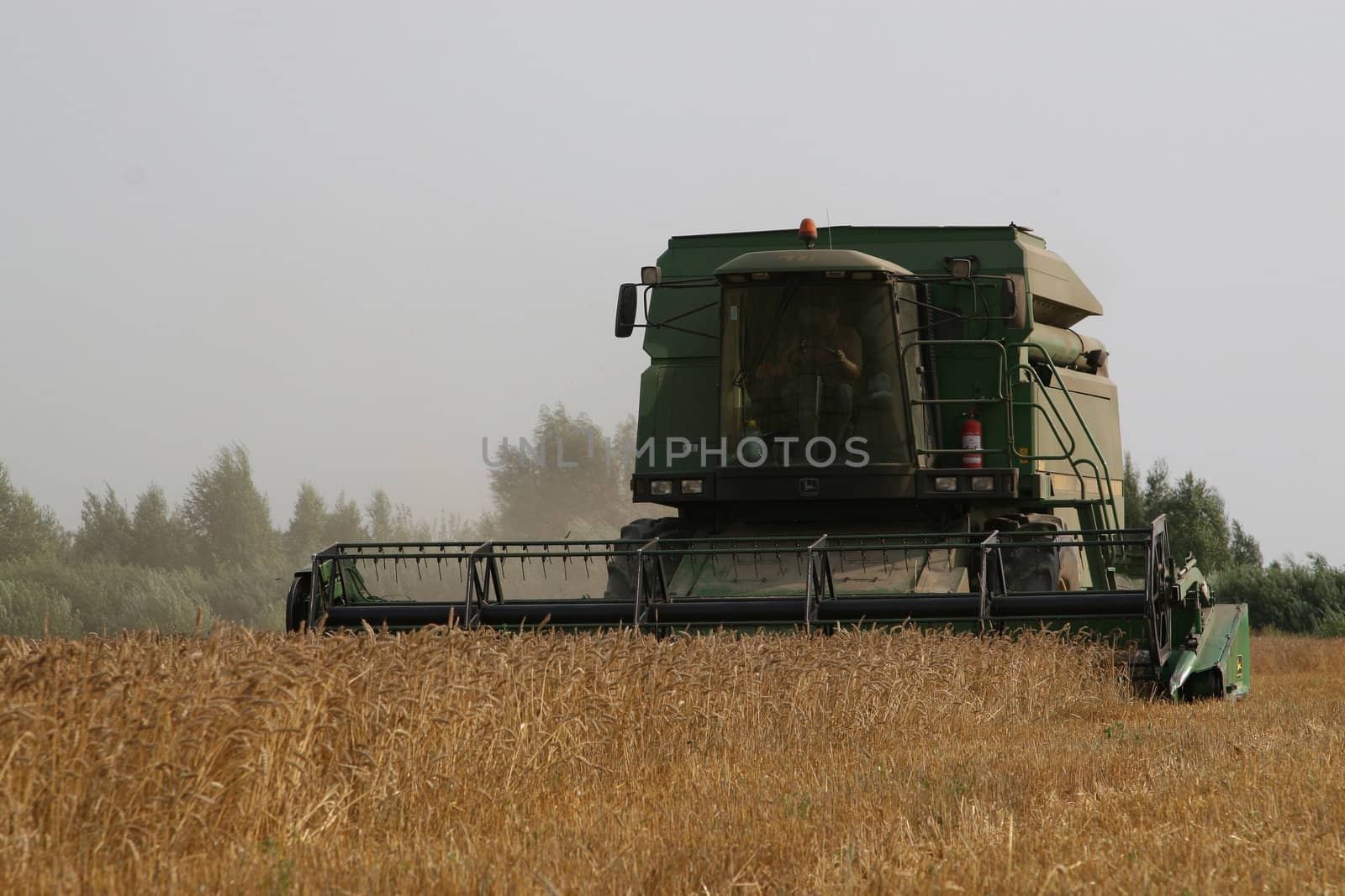 With help of combine in autumn is harvested crop.