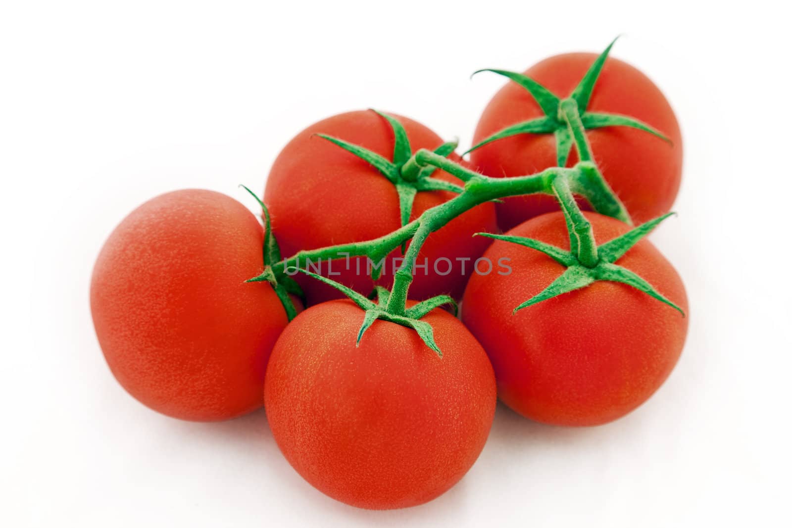 juicy whole tomatoes attached to vine isolated on white