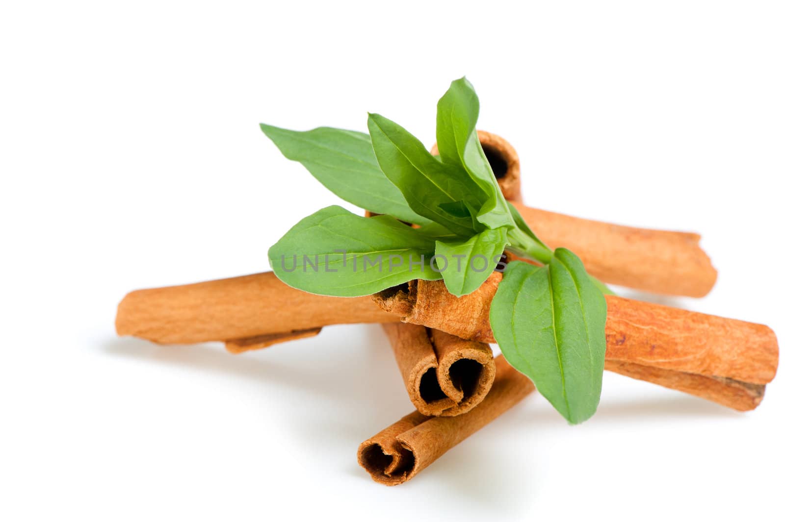 Cinnamon and green leaves. A heap of sticks of cinnamon on a white background