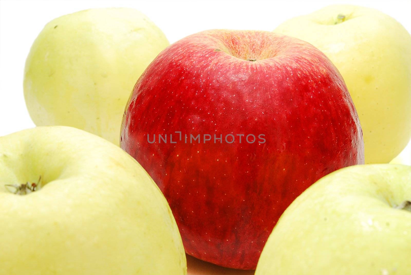 Red Leader Apple between Yellow Apples Isolated on White