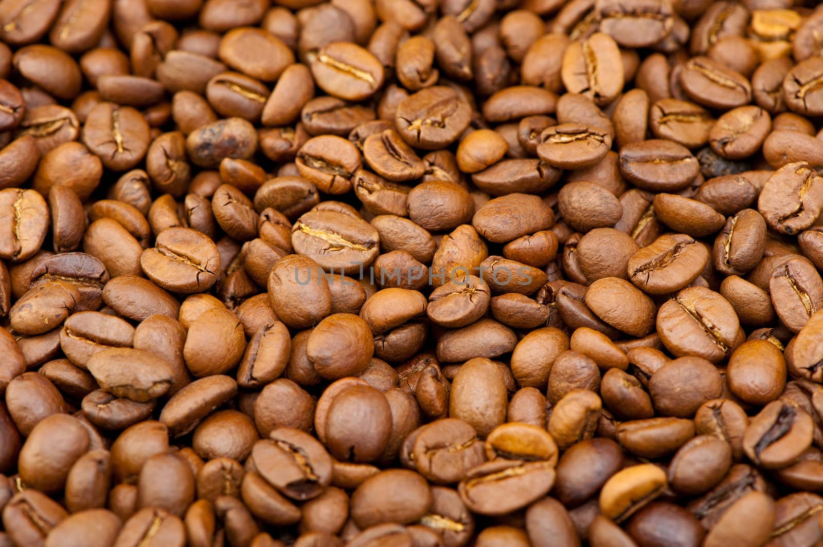 Background from coffee grains. A photo close up