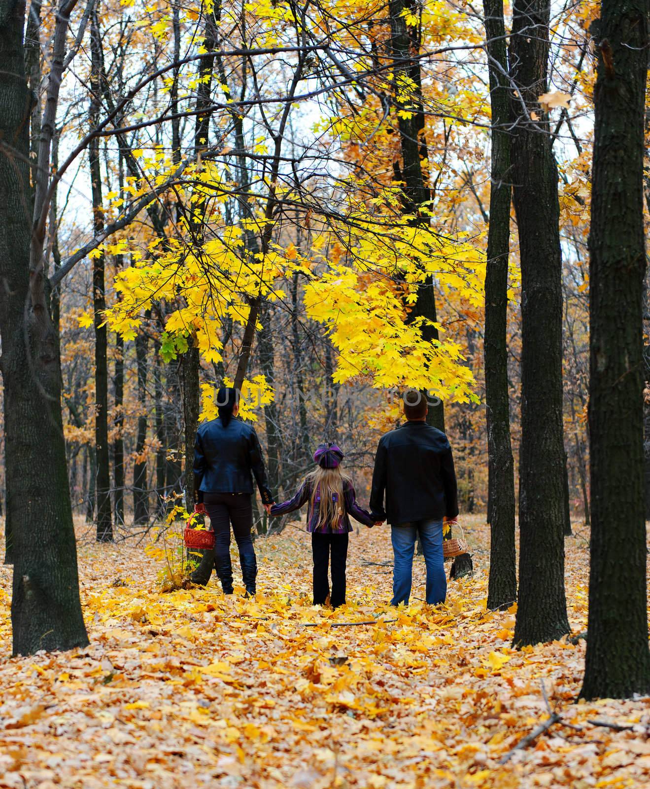 Family in autumn forest. Walk for hands of a happy family from three persons