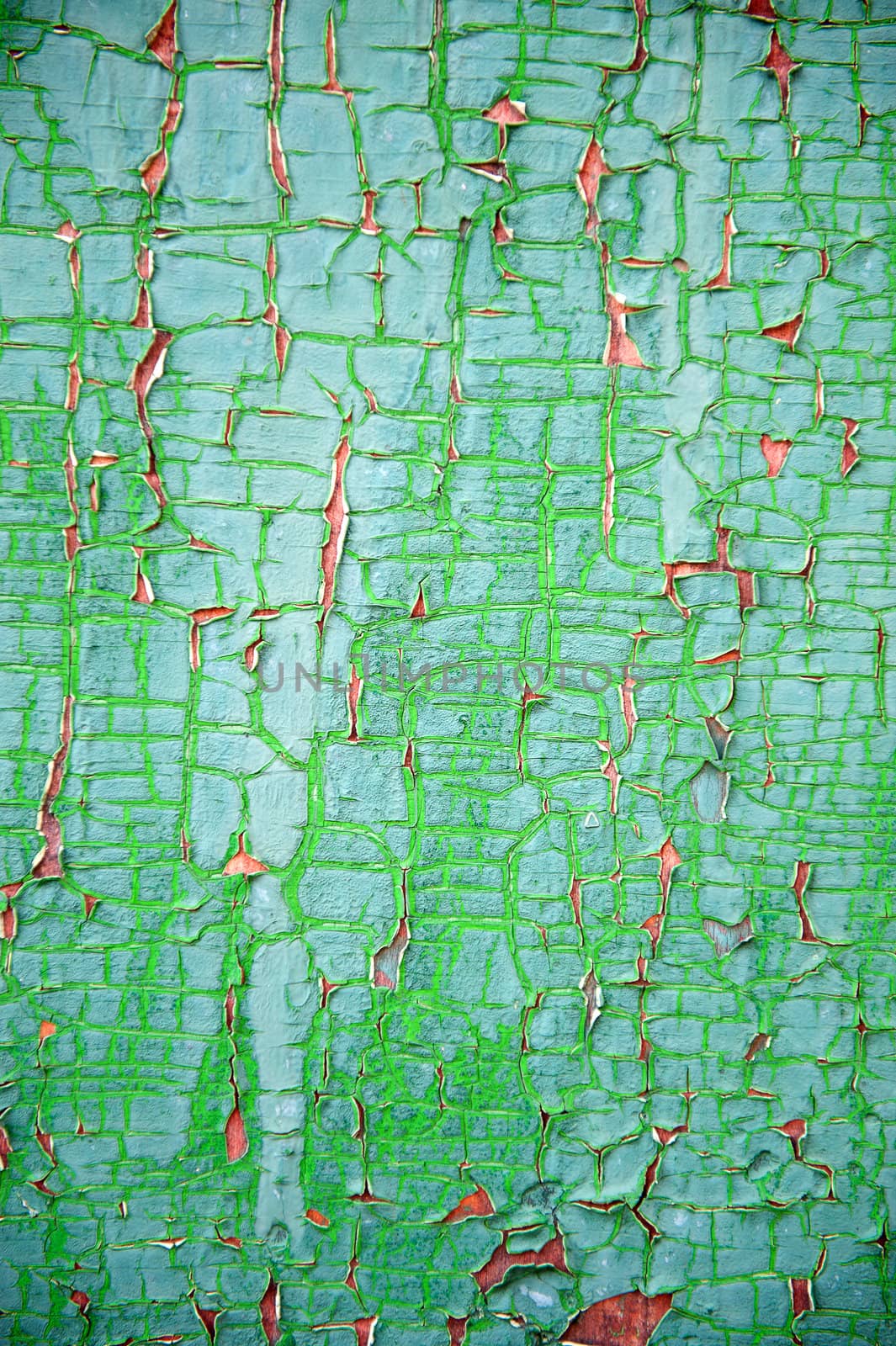 Texture peeled off paints. A wooden surface, green colour