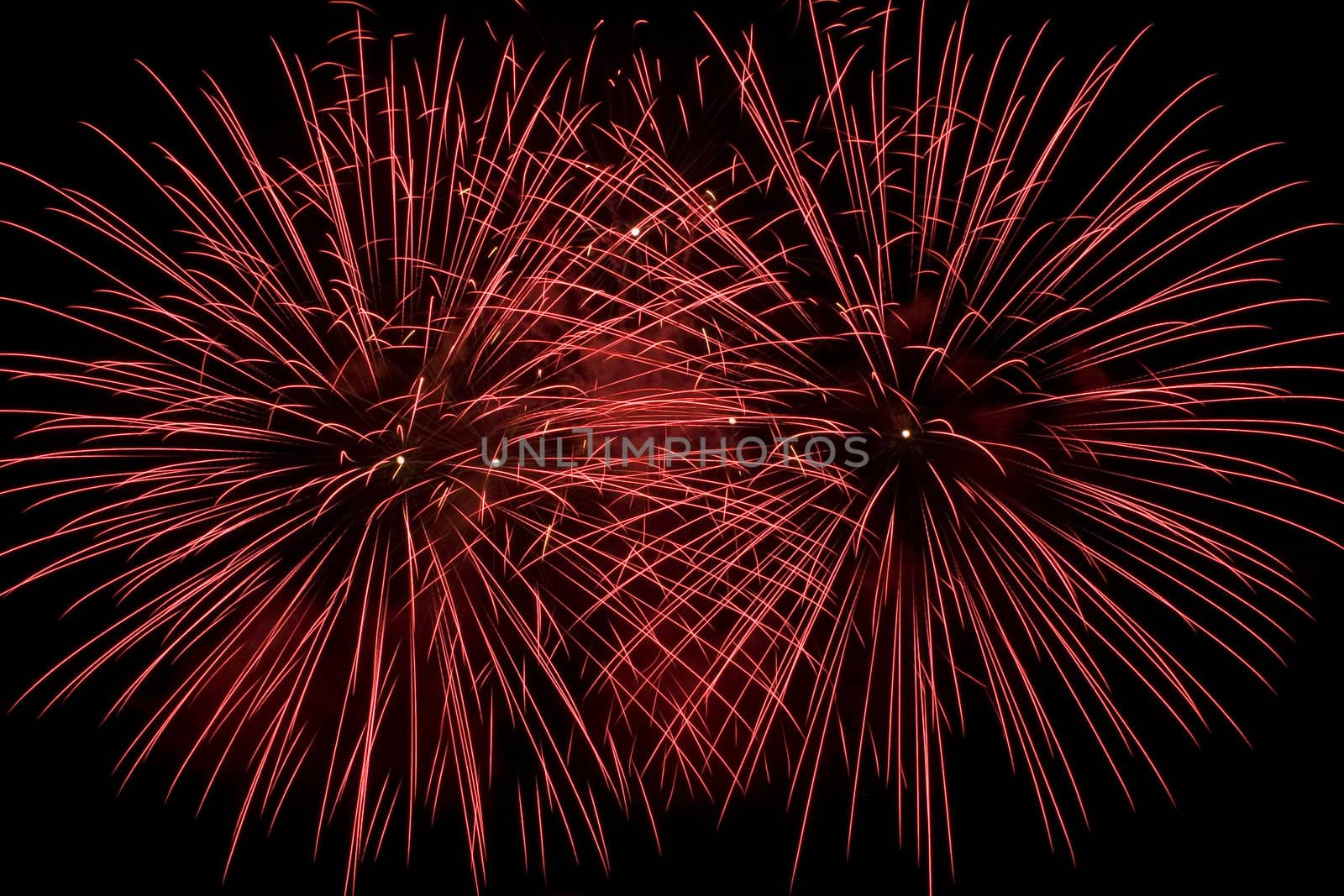 Frame fill with two red firework flowers