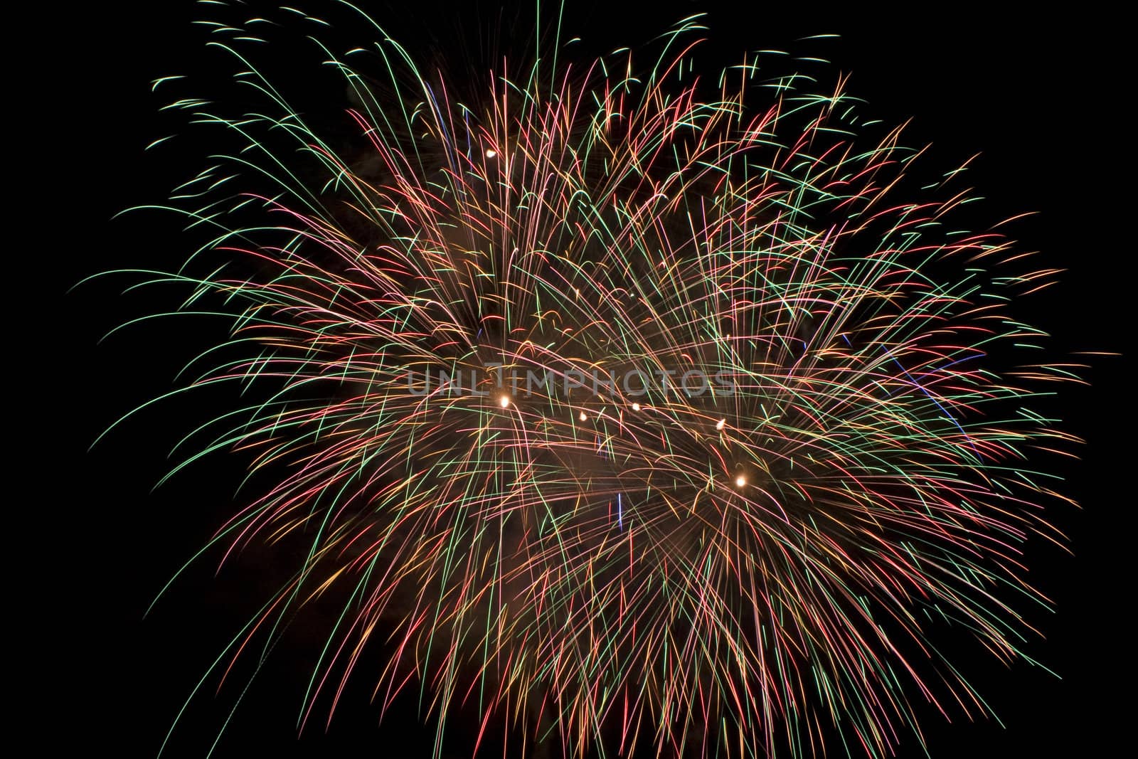 multi colored firework flowers