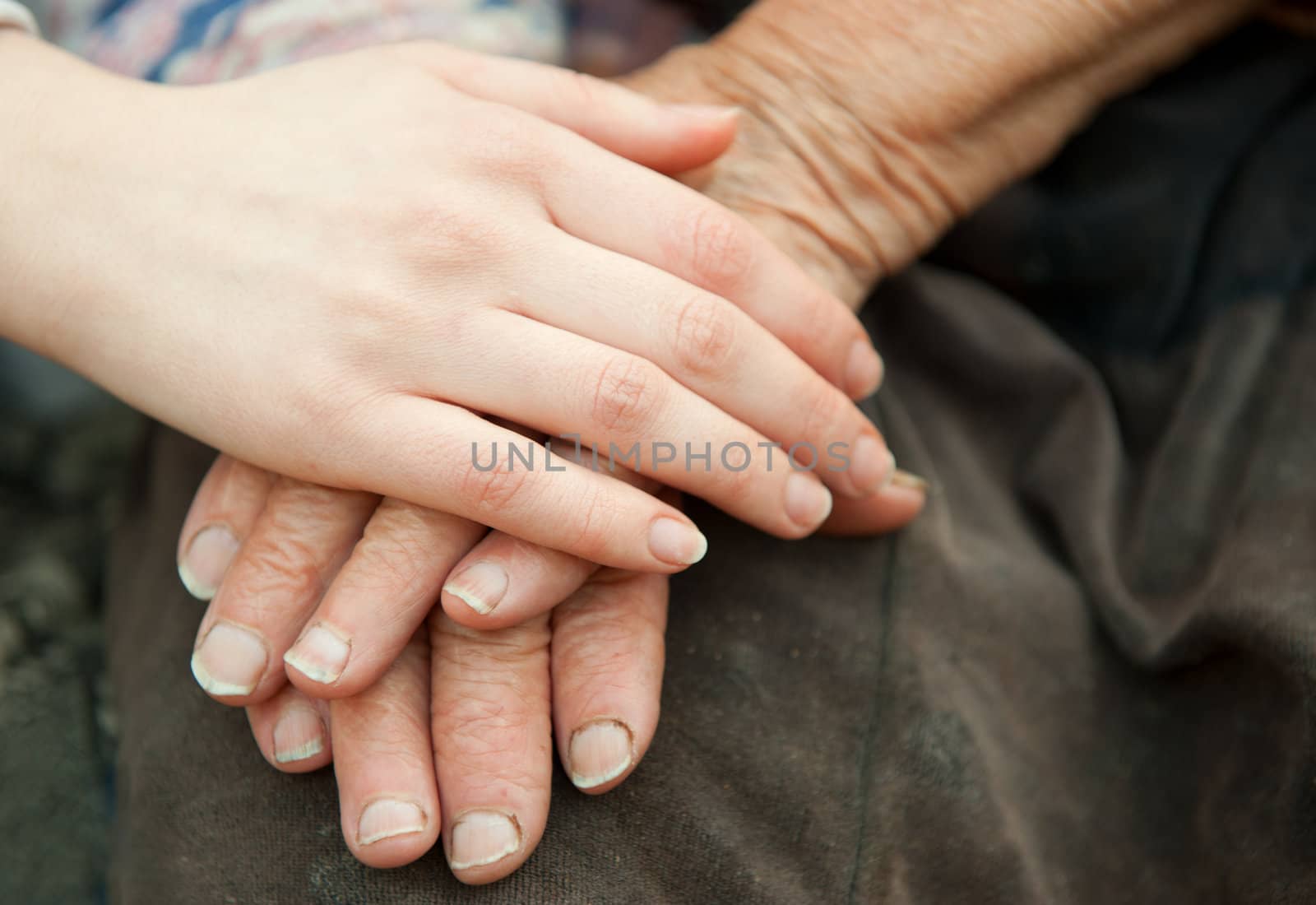 Old and young hands. Hands of the old woman - 84 years covered with young hands