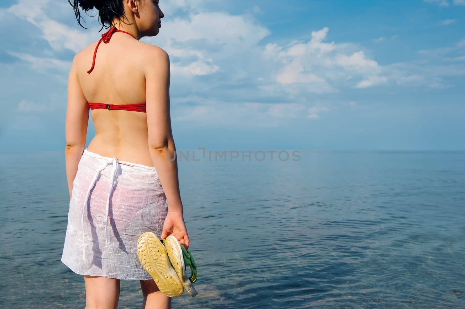 The girl in a bathing suit against the sea. A back photo