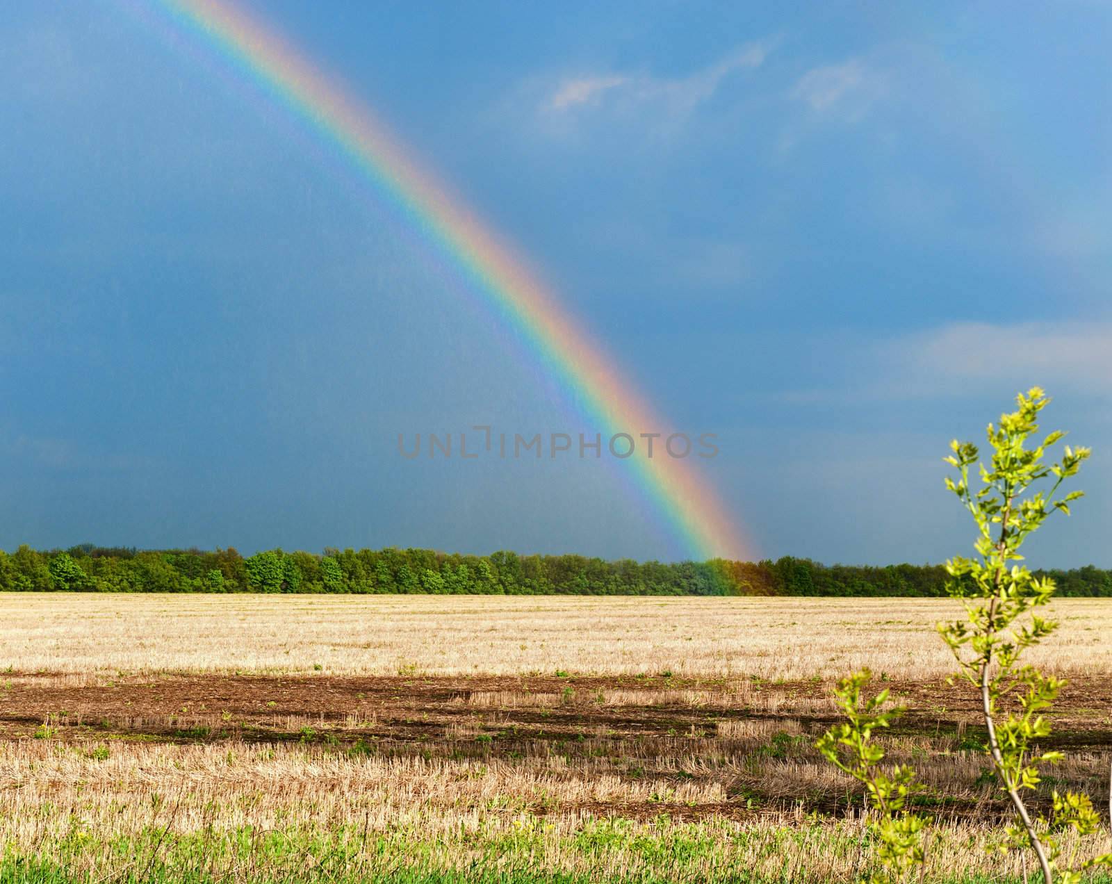 Rainbow. A landscape with a rain and a rainbow.