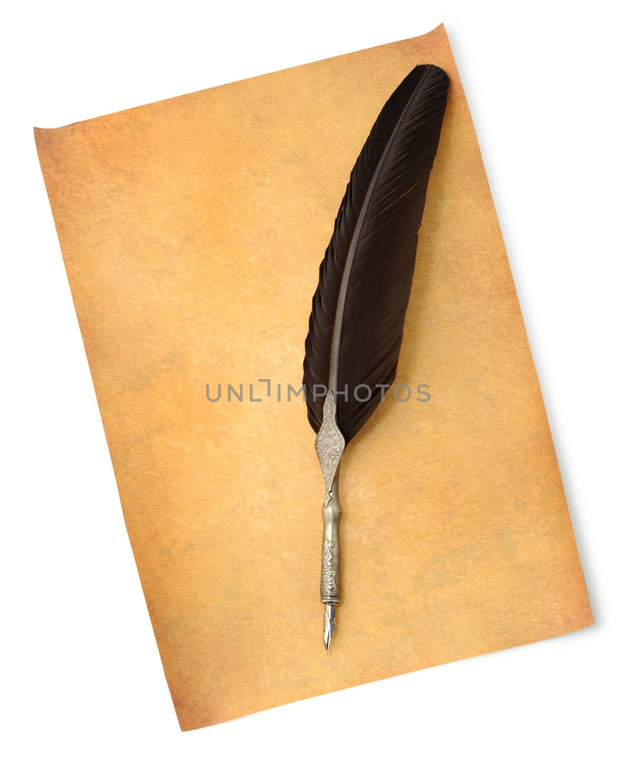 Feather quill an old paper by galdzer