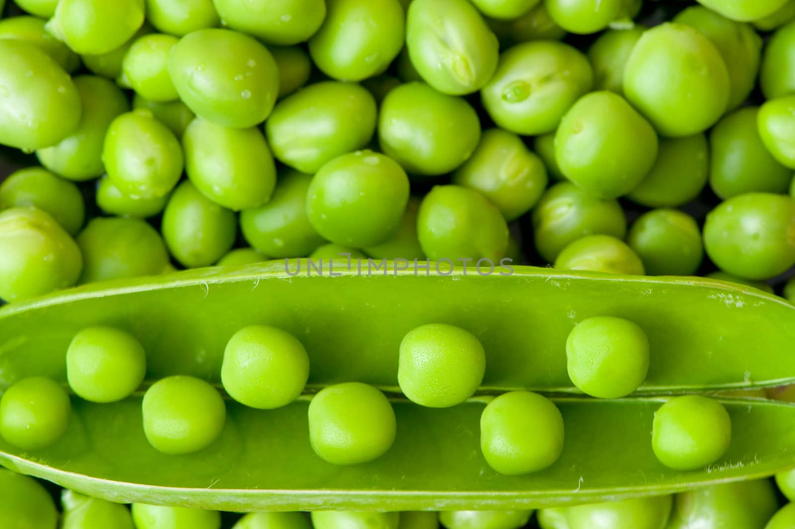 Pea background by galdzer
